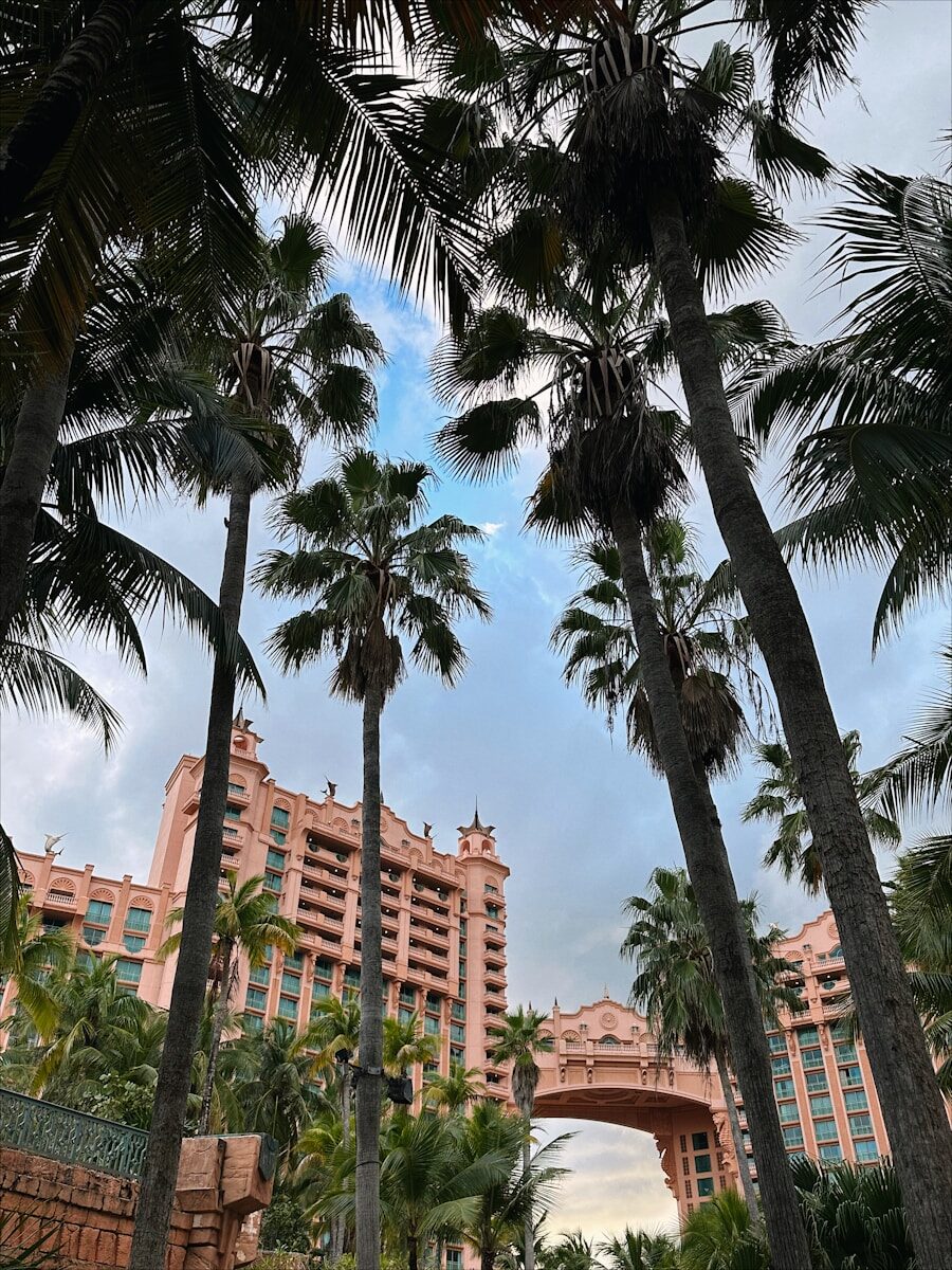 A photo of the Atlantis hotel in The Bahamas taken through palm trees